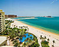 palm jumeirah trunk